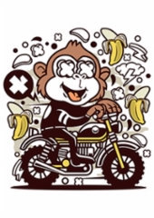 monkey_motocrosser
