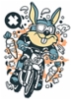 rabbit_motocross_rider