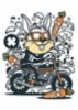 rabbit_motocrosser