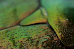 beautifulcolours