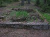 Ryöstettyjä hautoja Nietjärven ortodoksien hautausmaalla