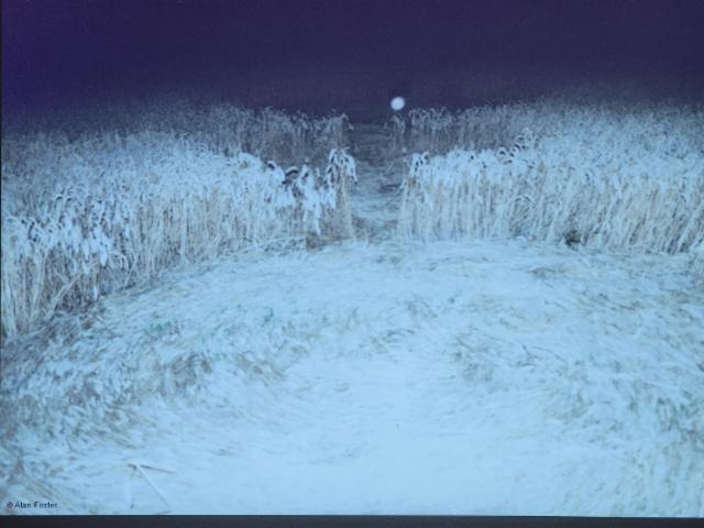 20250906__patternsingrainfields05