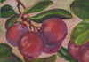 puolukassa/ lingonberries