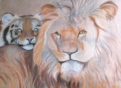 tiikeri ja leijona/ the tiger and the lion