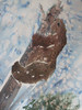karhun lento/ bear on the fly