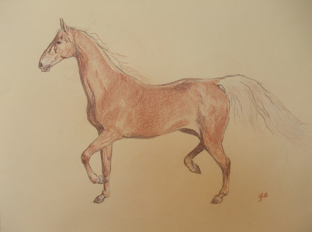 hevonen1/ horse 1