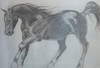 hevonen2/ horse 2