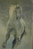 Hevonen
