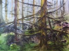 Primeval forest 1