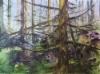 Primeval forest 1