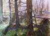 Primeval forest 2