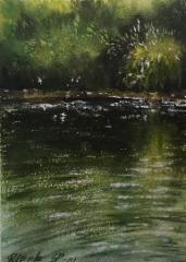 Ripple