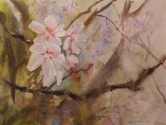 Omenankukkia