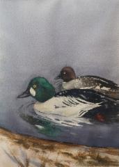 Telkk&auml;