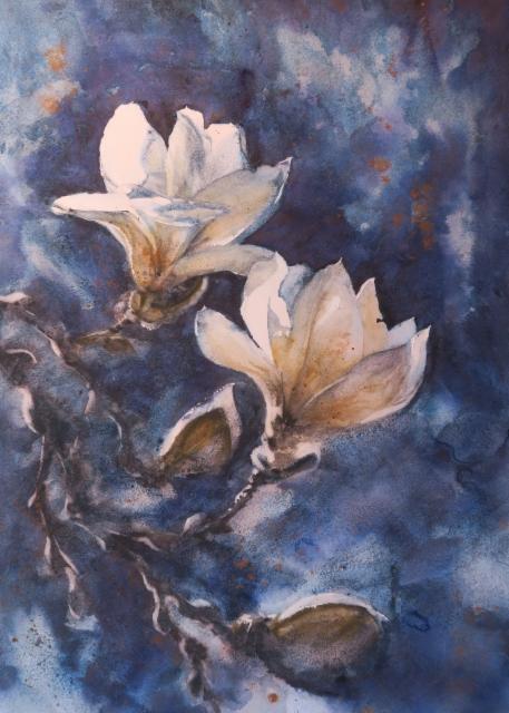 Magnolia Magnolia