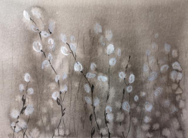 Pajunkissat/ Willow tree blossoms Pajunkissat/ Willow tree blossoms