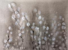 Pajunkissat/ Willow tree blossoms