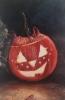 Kurpitsa/ Pumpkin