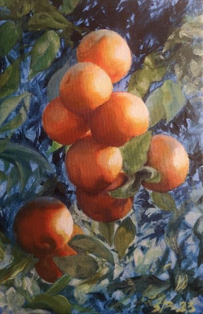 Oranges in Rome