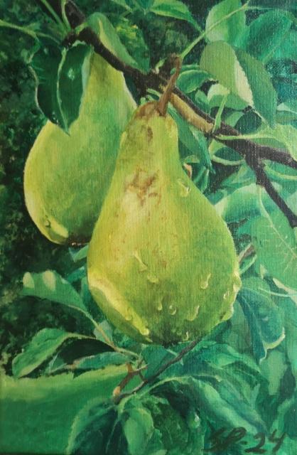 Pears