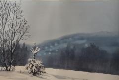After the snowfall