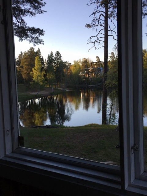mannisto_ikkuna