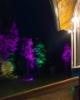 taitokolmio-260824-tanjakatajama776ki-_s3a3949-enhanced-nr