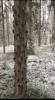 img-20260410-wa0002