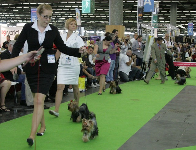 World Dog Show Pariisi 8.7.2011 