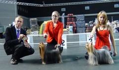 Tallinnan National Dog Show 3.3.2012