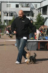 Porvoon koiranäyttely 9.9.2012