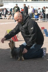 Porvoon koiranäyttely 9.9.2012 