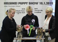 Helsinki Puppy Show 10.1.2015 