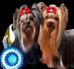 Em&auml; ja is&auml; 