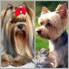 Is&auml; ja em&auml;