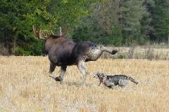 2025_Seelan_treenikamu