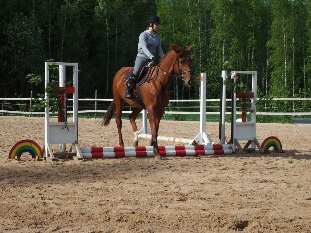 19022106_10155511001913945_2091553167_n