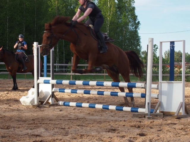 19021874_10155511023208945_1145255514_n