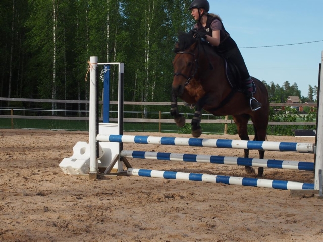 19021625_10155511020158945_800912826_n