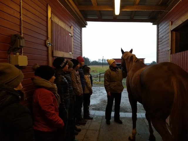 img_20171119_132004157