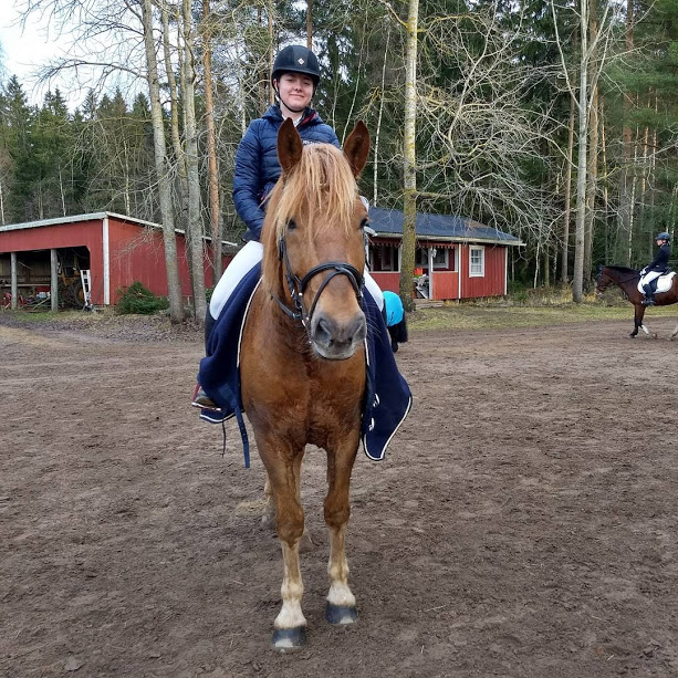 img_20171120_152554_484