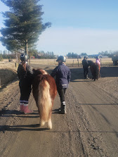 img_20250309_102731593