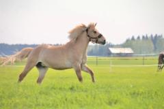 img-20250212-wa0006