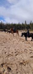 img-20250409-wa0015