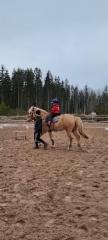 img-20250329-wa0019