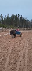 img-20250329-wa0018