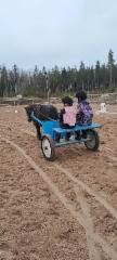 img-20250329-wa0017