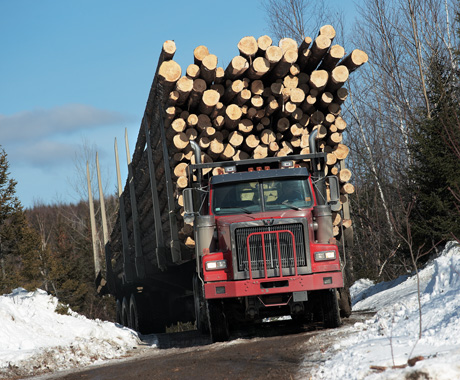 USA Canada logging05-xd