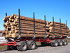 Viisiakseliset puutavaravaunut lisääntyvät nyt nopeasti.