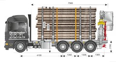 Zeta hytill� nelikossa.